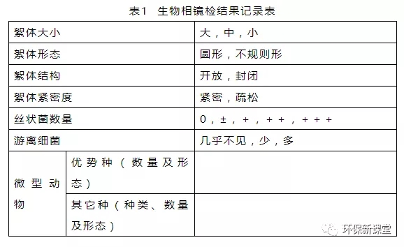 10.webp.jpg 10.webp.jpg